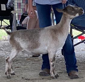 Cade’s Lil Farm AL Arlington